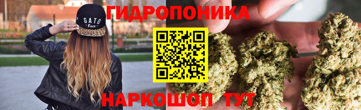 Реж  Конопля индика  Бошки марихуана Bruce Banner  Каннабис VHQ  Вход с VPN 